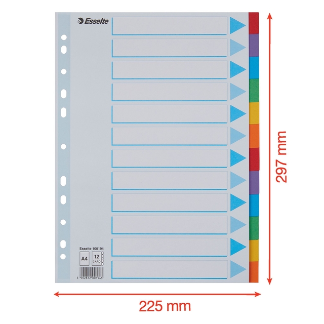 Tabbladen Esselte Standaard A4 12-delig karton 11-rings met voorblad assorti — Foto 2 van 2