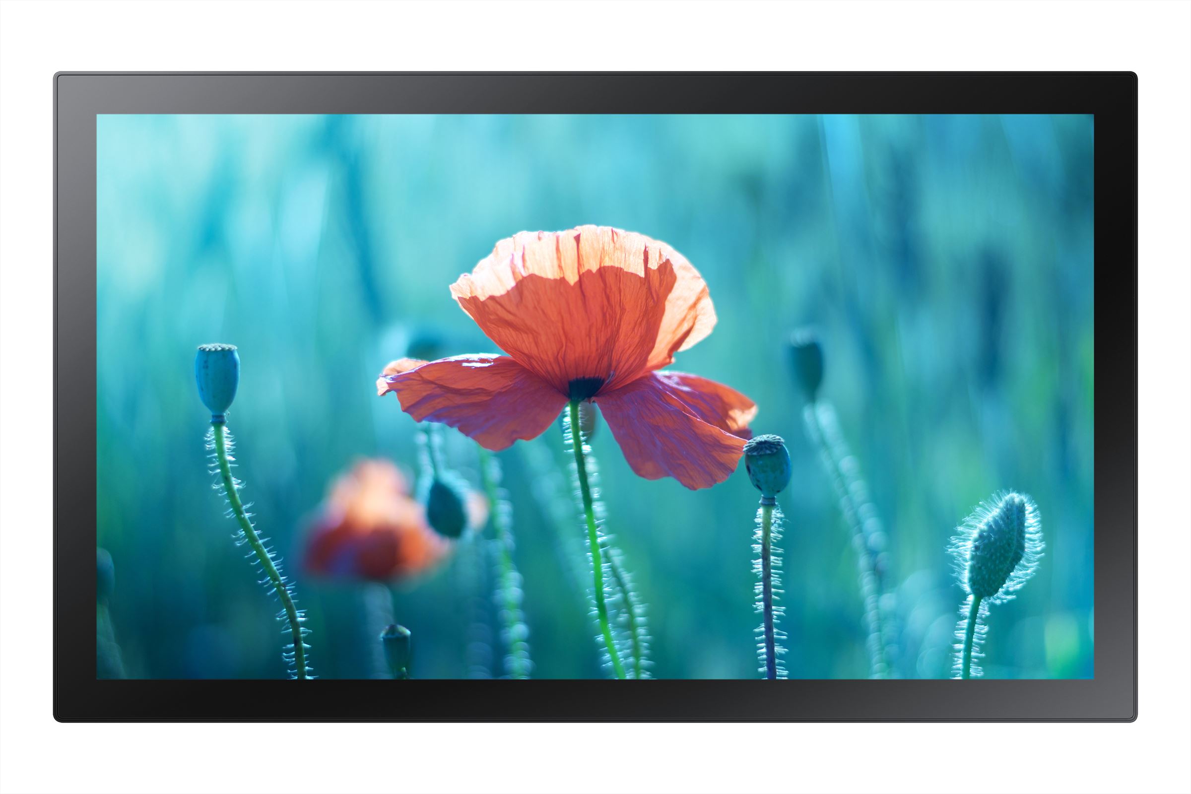 Samsung 13" Touch Display QBR-TM afbeelding