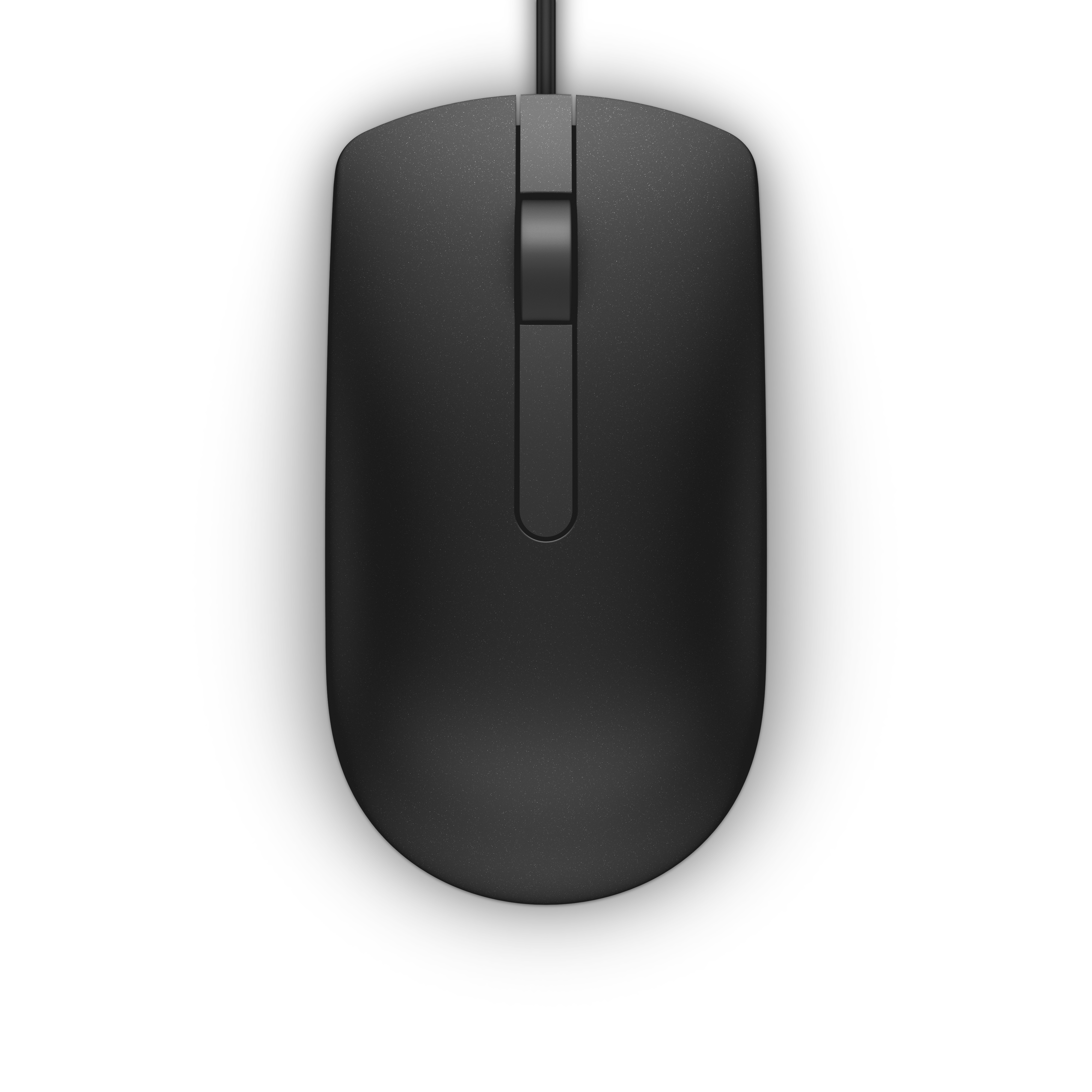 DELL MS116 muis Kantoor Ambidextrous USB Type-A Optisch 1000 DPI afbeelding