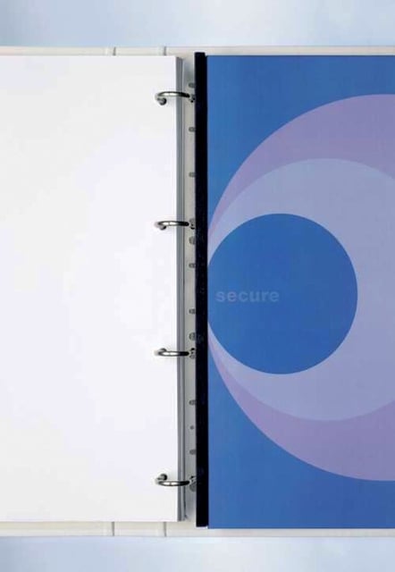 Filestrip GBC 21-gaats A4 transparant 100stuks afbeelding