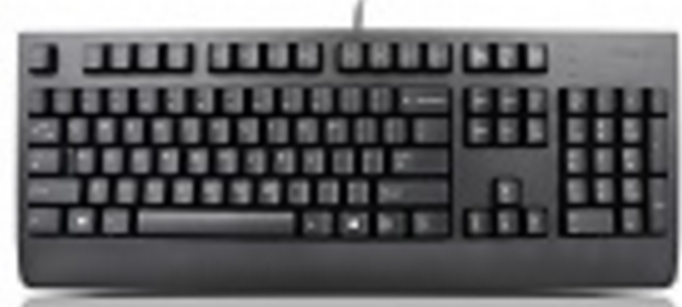 Lenovo 4X30M86889 toetsenbord Universeel USB QWERTY Nederlands Zwart
