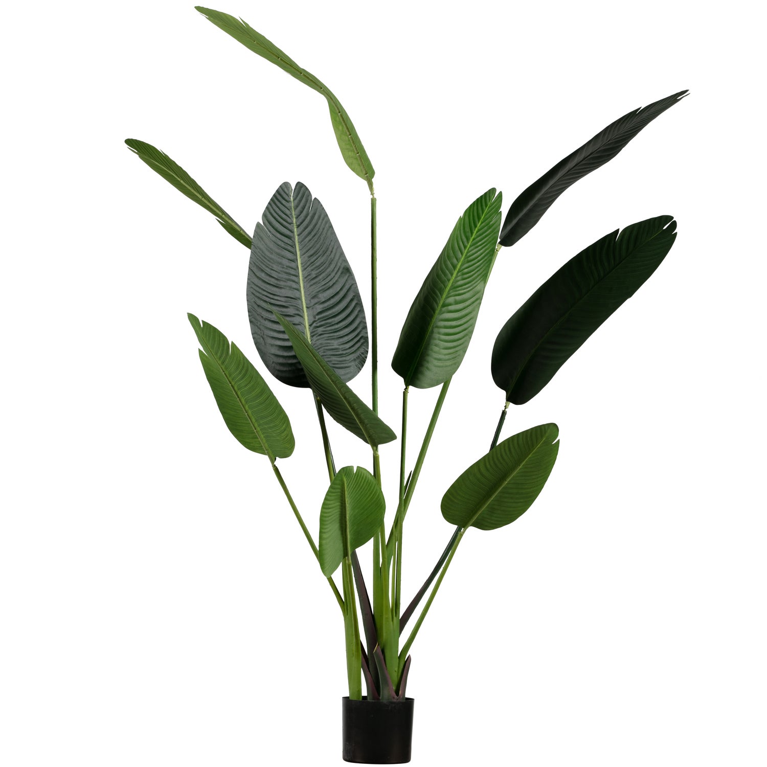 Kunstplant Strelitzia Groen 164Cm afbeelding