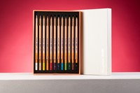 Kleurpotloden Bruynzeel Design met luxe bewaardoos assorti 12 stuks-1