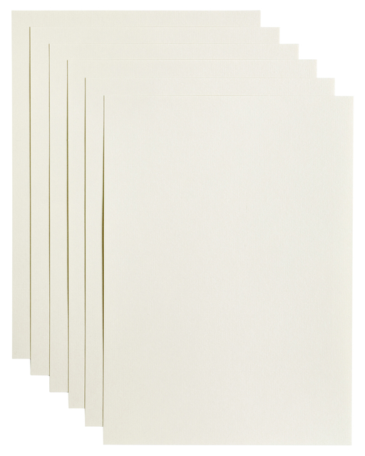 Kopieerpapier Papicolor A4 100gr 12 vel anjerwit afbeelding