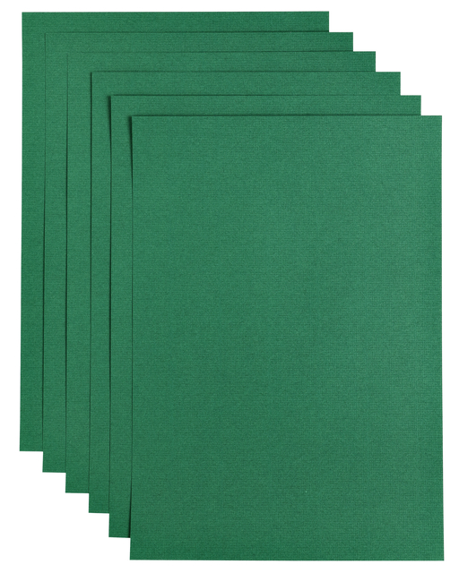 Kopieerpapier Papicolor A4 100gr 12 vel dennengroen afbeelding