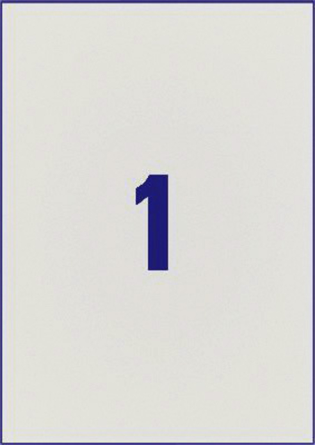 Etiket Avery L6013-20 210x297mm zilver 20 stuks — Foto 2 van 2
