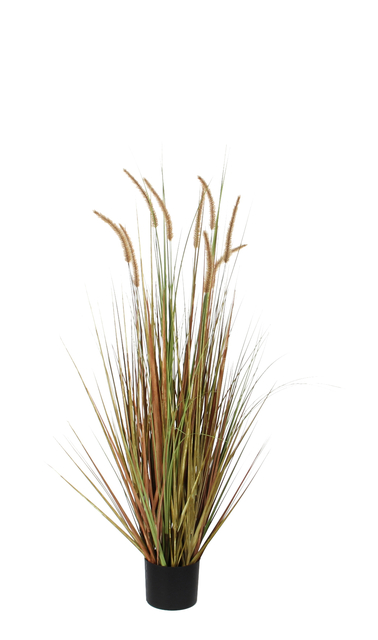 Kunst Pluimgras Dogtail 120cm groen afbeelding