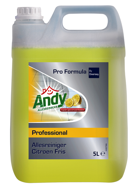 Allesreiniger Andy citroen fris 5 liter afbeelding