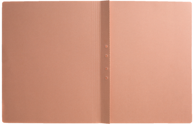 Binnenmap Quantore ICN1 folio met ponsgaten chamois afbeelding