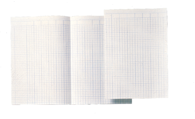 Accountantspapier Djois Atlanta folio 14 kolommen 100vel afbeelding