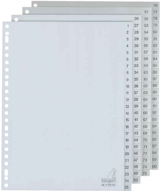 Tabbladen Kangaro 23-gaats G4100CM 1-100 genummerd grijs PP afbeelding