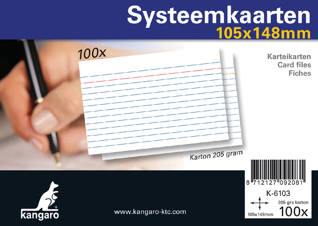 Systeemkaarten A6 105x148mm 100 stuks afbeelding