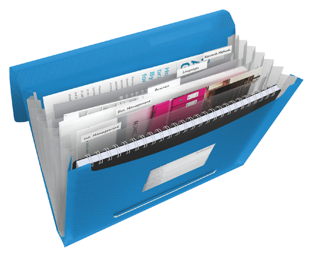 Projectmap Esselte Vivida A4 6 vakken PP blauw afbeelding
