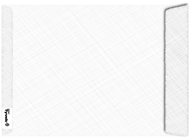 Envelop Tyvek monsterzak B4 250x330x38mm 70gr wit doos à 100 stuks afbeelding