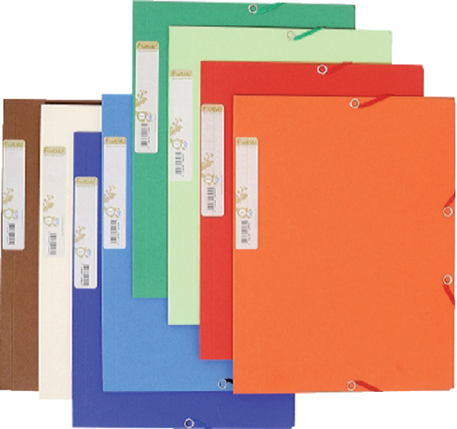 Elastomap Exacompta Forever A4 3 kleppen 380gr assorti afbeelding