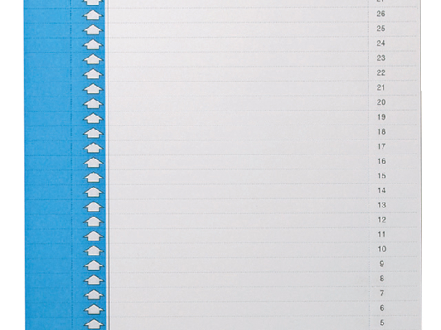 Ruiterstrook Elba Nr 9 157x7mm lateraal blauw 10 stuks afbeelding