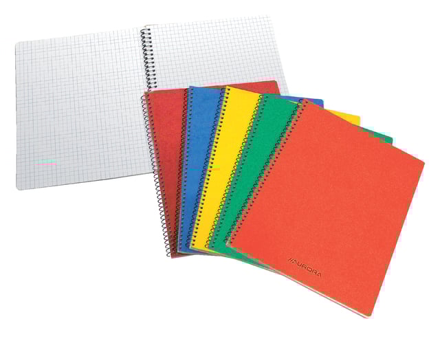 Schrift Aurora 75x110mm ruit 5x5mm 160 pagina&apos;s 60gr assorti afbeelding