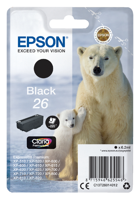 Inktcartridge Epson 26 T2601 zwart afbeelding