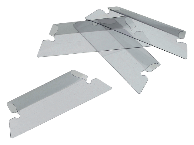 Ruiters voor Djois Euroflex hangmappen 50mm transparant 25 stuks afbeelding