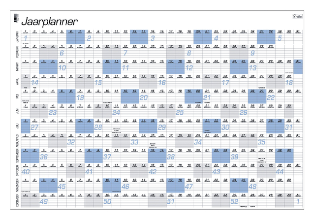 Jaarplankalender 2025 Quantore A1 84x57cm afbeelding