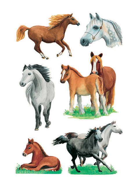 Etiket HERMA 3553 paarden rassen afbeelding