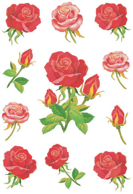 Etiket HERMA 3581 rozen afbeelding