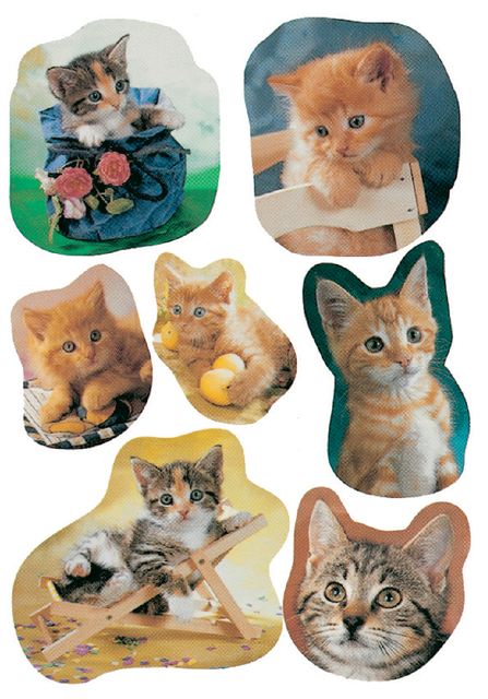 Etiket HERMA 5747 katten afbeelding