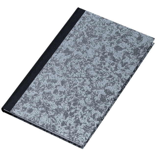 Notitieboek Djois Atlanta Excellent genaaid 330x205mm 288blz lijn grijs gewolkt afbeelding