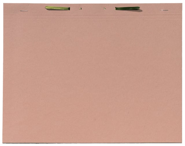 Binnenmap Djois folio met snelhechter 300gr chamois afbeelding
