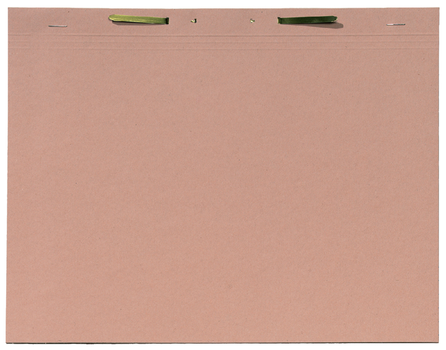 Dossiermap Djois folio met snelhechter 300gr chamois afbeelding