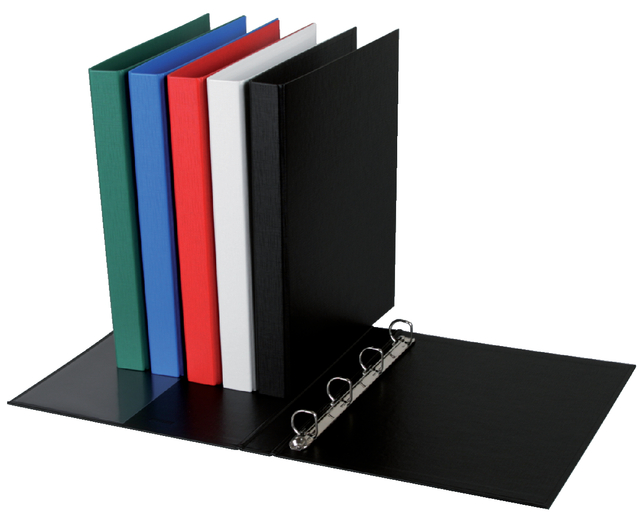 Ringband Quantore A4 4-rings D-mech 20mm PP assorti afbeelding