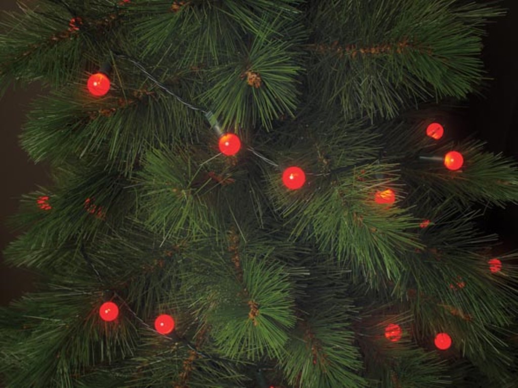 Cherry Light LED - 12 m - 120 rode lampjes - groene draad - 24 V afbeelding