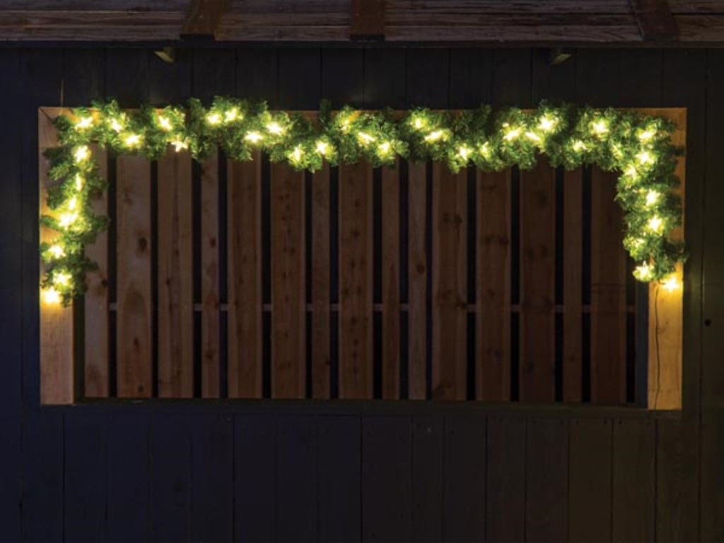 Spike Light LED - 250 cm - 40 warm witte leds - groene draad - 31V afbeelding
