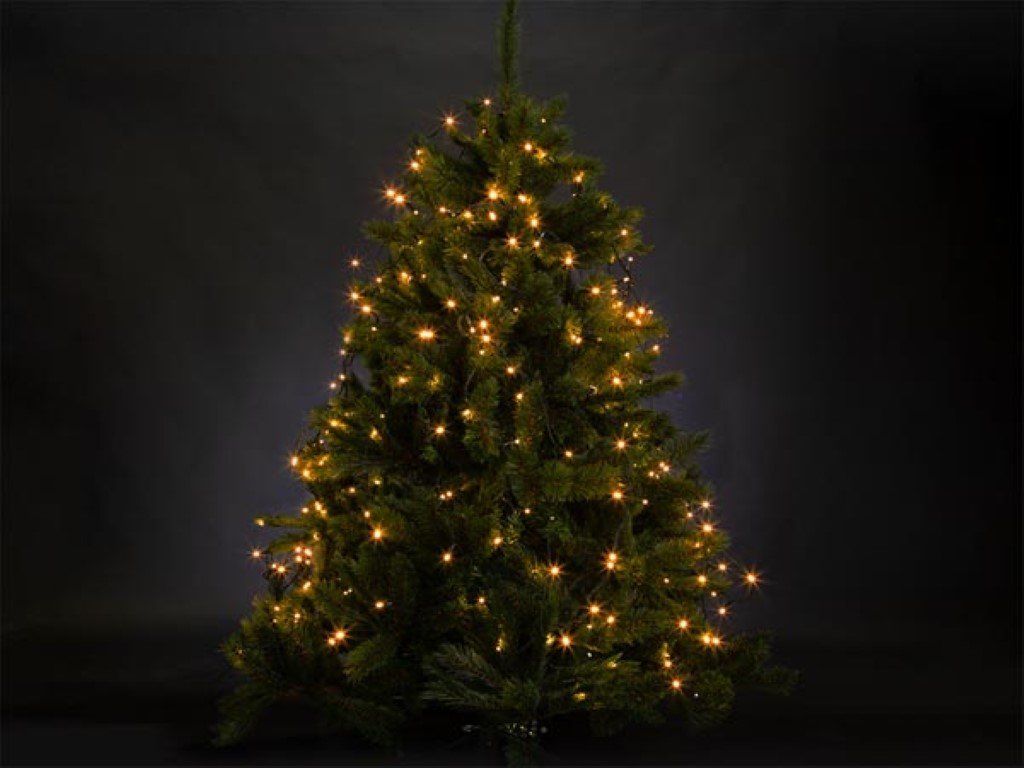 Velleman ATRIA LED voor bomen tot 1.8 m 220 leds arizona wit groene kabel 24 V